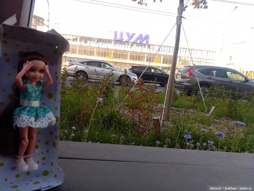 Новосибирск 2022 год, окончание