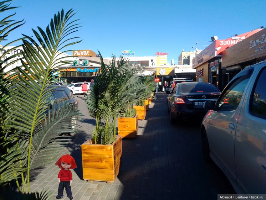 Новосибирск 2022 год, окончание