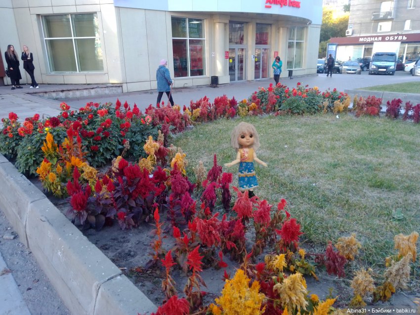 Цветы и куклы... 4 — Игровые куклы разных производителей (Разное): редкие бренды