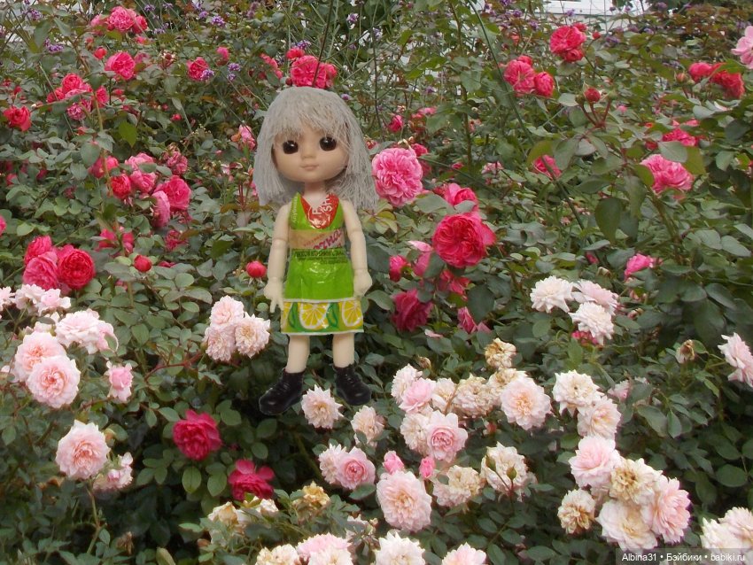 Цветы и куклы... 4 — Игровые куклы разных производителей (Разное): редкие бренды