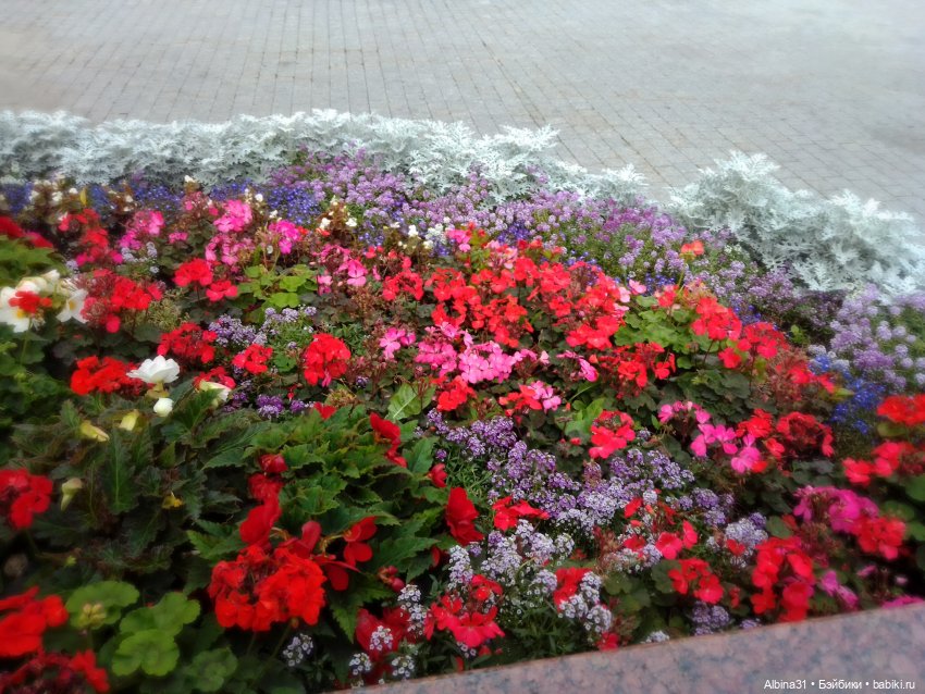 Цветы и куклы... 4 — Игровые куклы разных производителей (Разное): редкие бренды