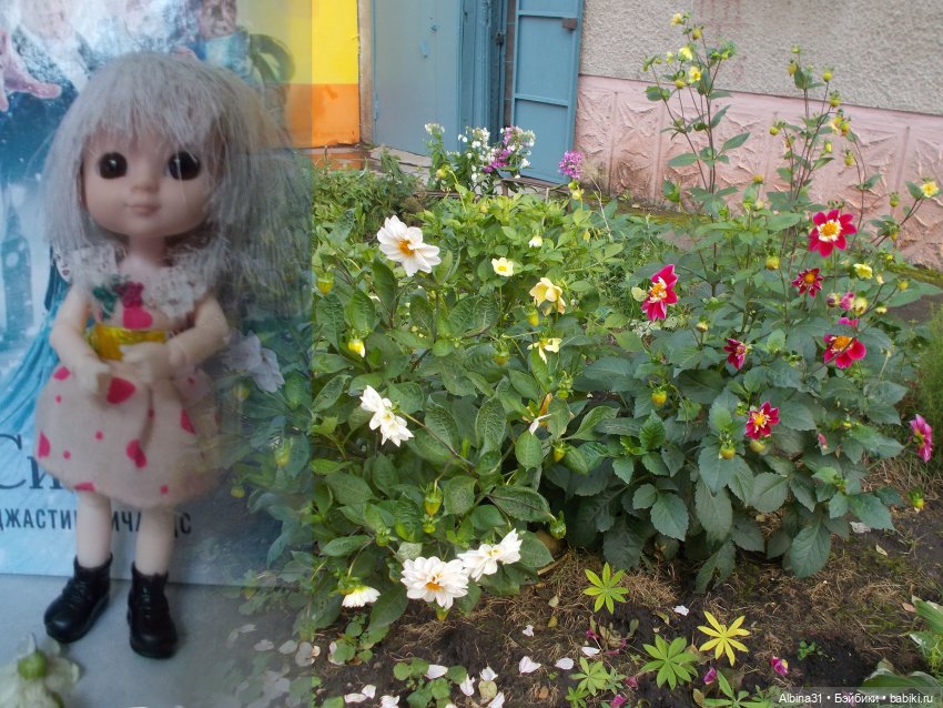 Цветы и куклы... 4 — Игровые куклы разных производителей (Разное): редкие бренды (фото 6)