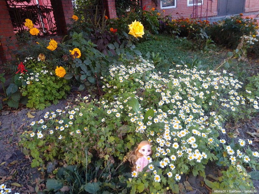 Цветы и куклы... 4 — Игровые куклы разных производителей (Разное): редкие бренды