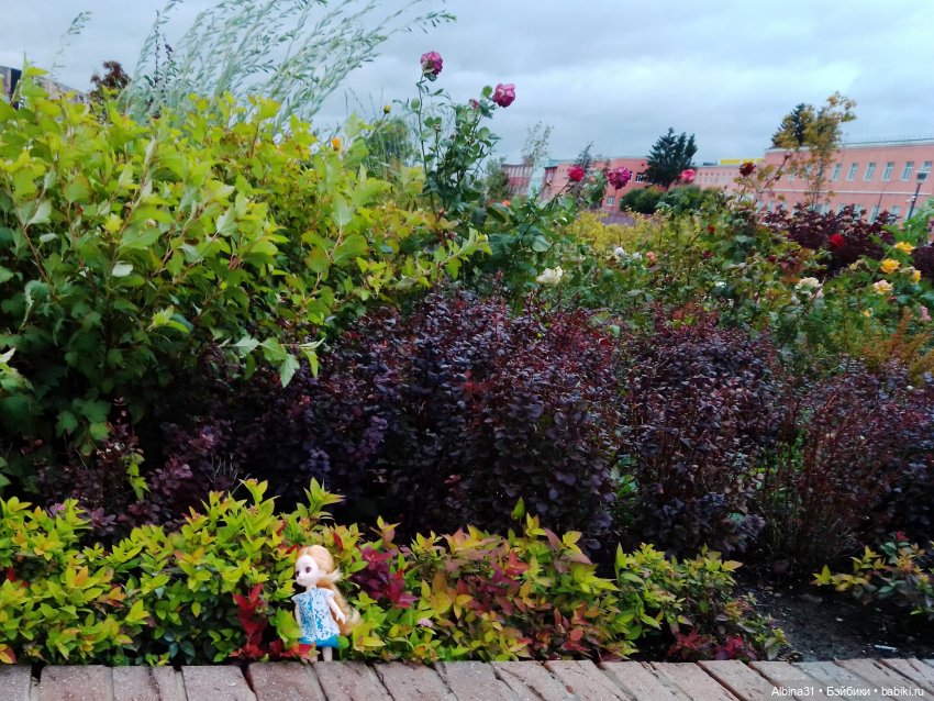 Цветы и куклы... 4 — Игровые куклы разных производителей (Разное): редкие бренды