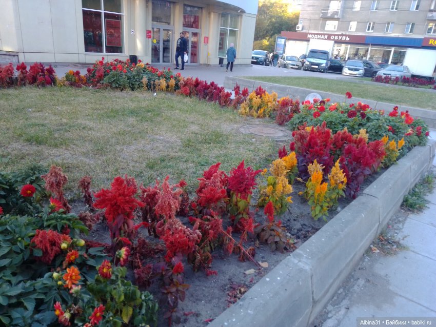 Цветы и куклы... 4 — Игровые куклы разных производителей (Разное): редкие бренды