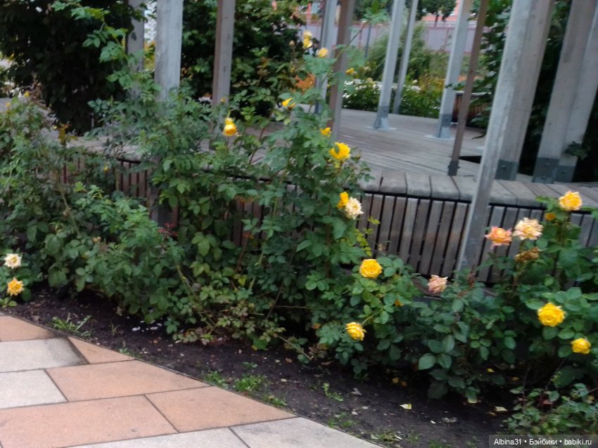 Цветы и куклы... 4 — Игровые куклы разных производителей (Разное): редкие бренды