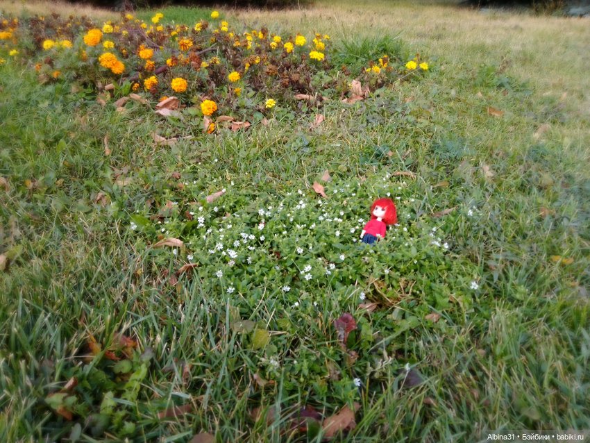 Цветы и куклы... 4 — Игровые куклы разных производителей (Разное): редкие бренды