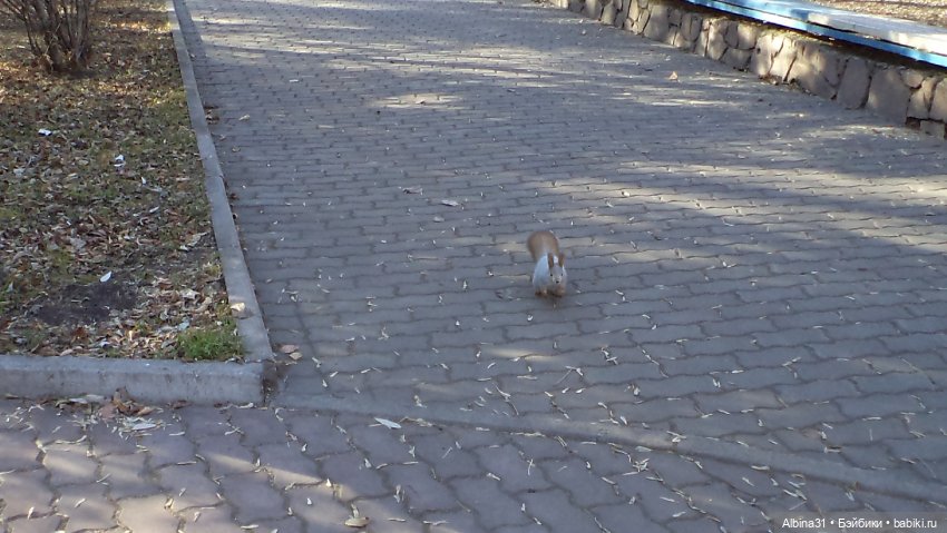 Один день осени — Коллекционные куклы разных авторов (Разное): редкие бренды
