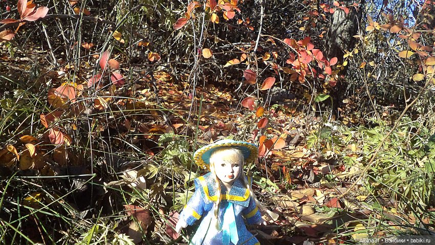 Один день осени | Бэйбики Один день осени — Коллекционные куклы разных авторов (Разное): редкие бренды
