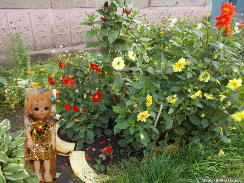 Цветы и куклы... 4 — Игровые куклы разных производителей (Разное): редкие бренды (фото 9)