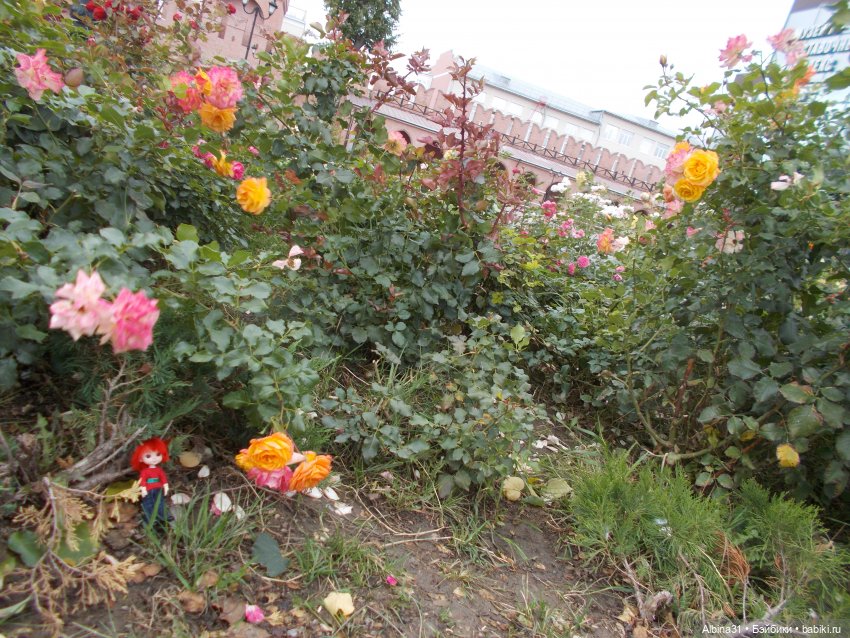 Цветы и куклы... 4 — Игровые куклы разных производителей (Разное): редкие бренды