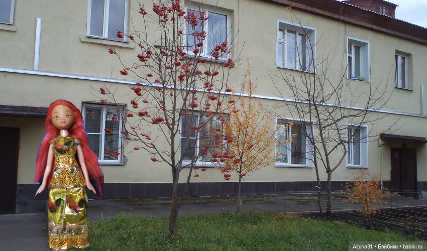 Городские осенние зарисовки. . 2022 год