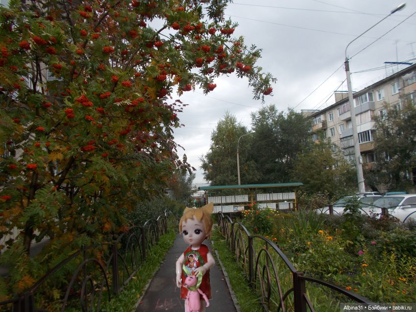 Городские зарисовки. Осень 2022 год