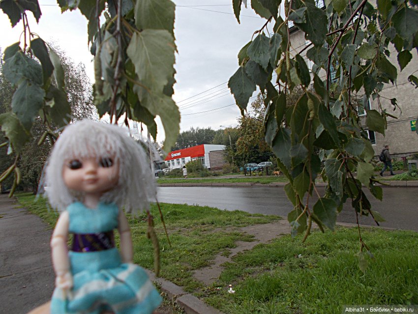 Городские зарисовки. Осень 2022 год