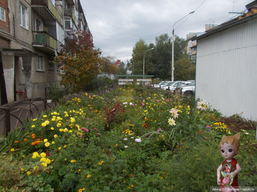 Городские зарисовки. Осень 2022 год