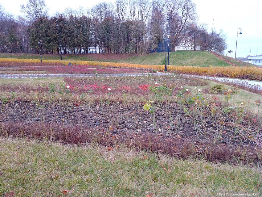 Без комментарий, Москва ноябрь 2022