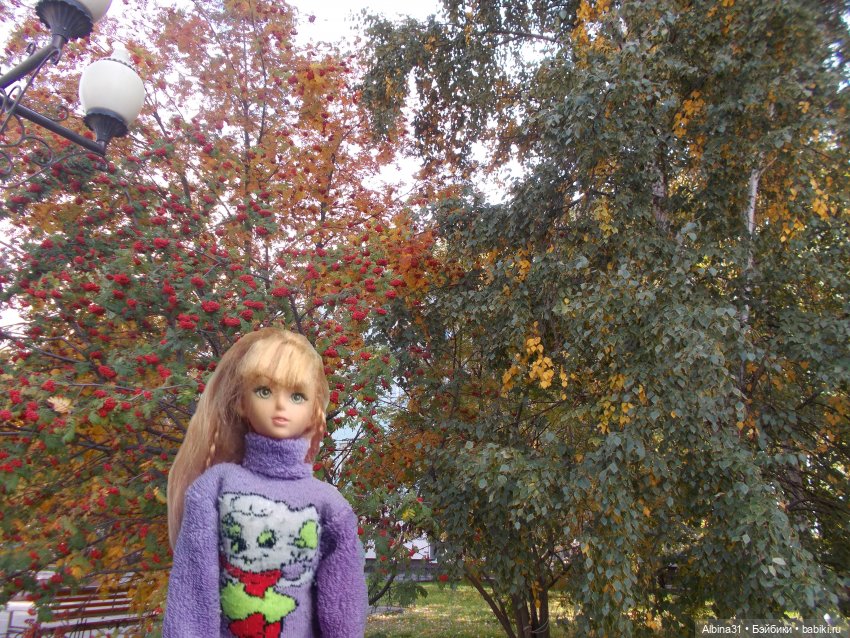 Городские осенние зарисовки. . 2022 год (фото 3)