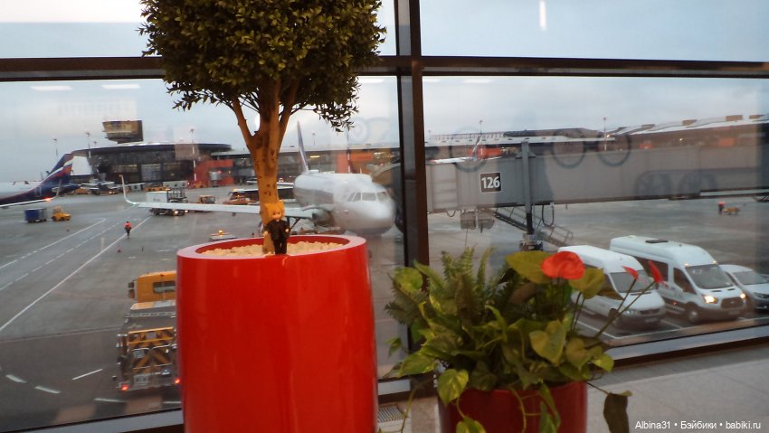 Москва ноябрь 2022 год — Игровые куклы разных производителей (Разное): редкие бренды