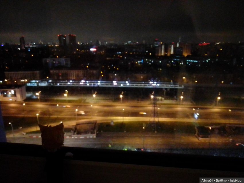 Москва ноябрь 2022 год — Игровые куклы разных производителей (Разное): редкие бренды