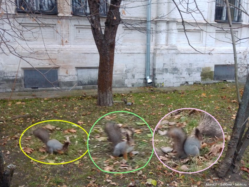 Прогулки по Москве. Измайлово. Ноябрь 2022