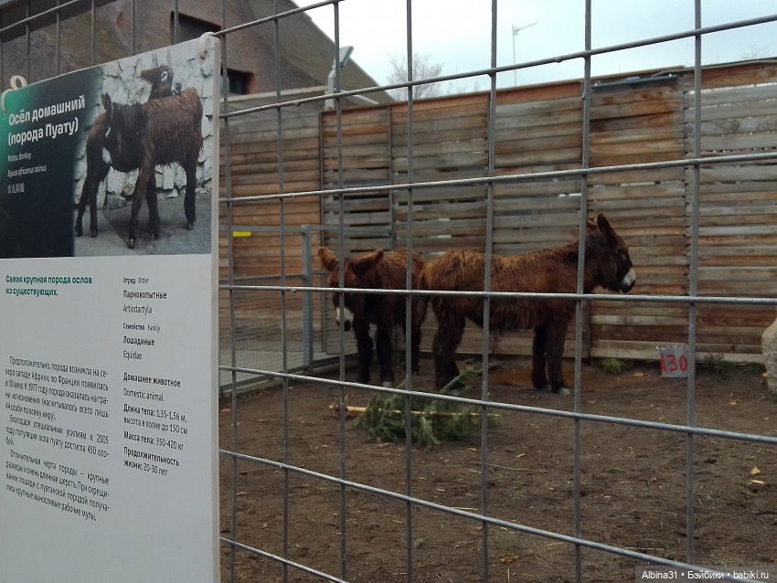 Прогулки по Москве. Ноябрь 2022