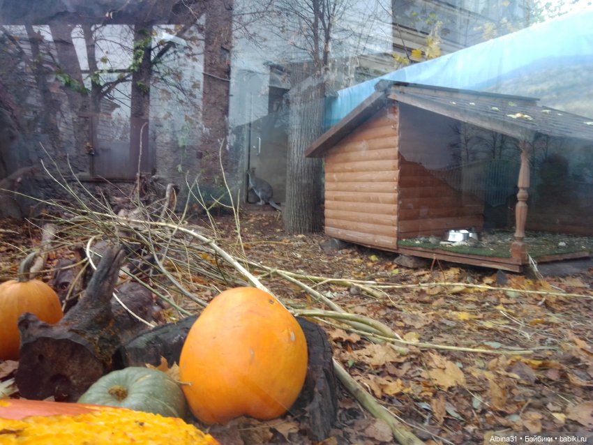 Прогулки по Москве. Ноябрь 2022