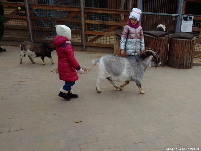 Прогулки по Москве. Ноябрь 2022