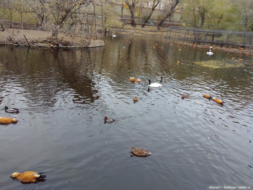 Прогулки по Москве. Ноябрь 2022