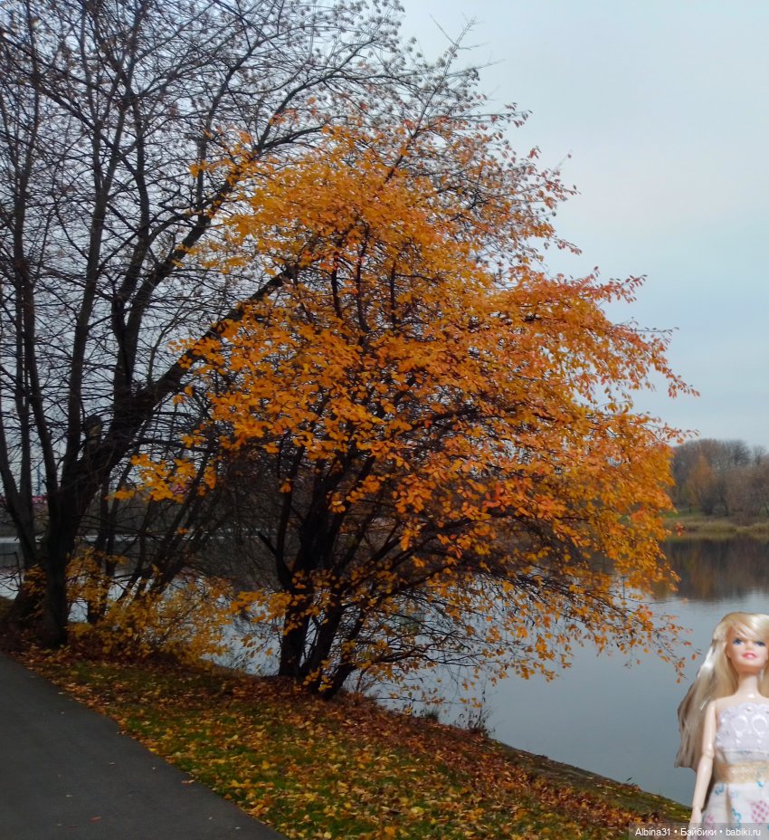 Прогулки по Москве. Измайлово. Ноябрь 2022