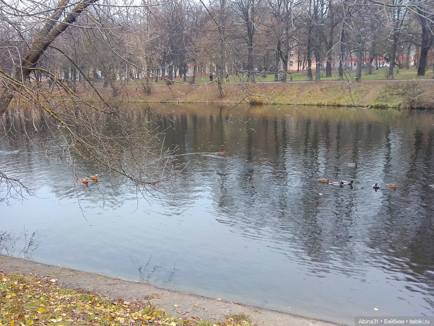 Прогулки по Москве. Измайлово. Ноябрь 2022