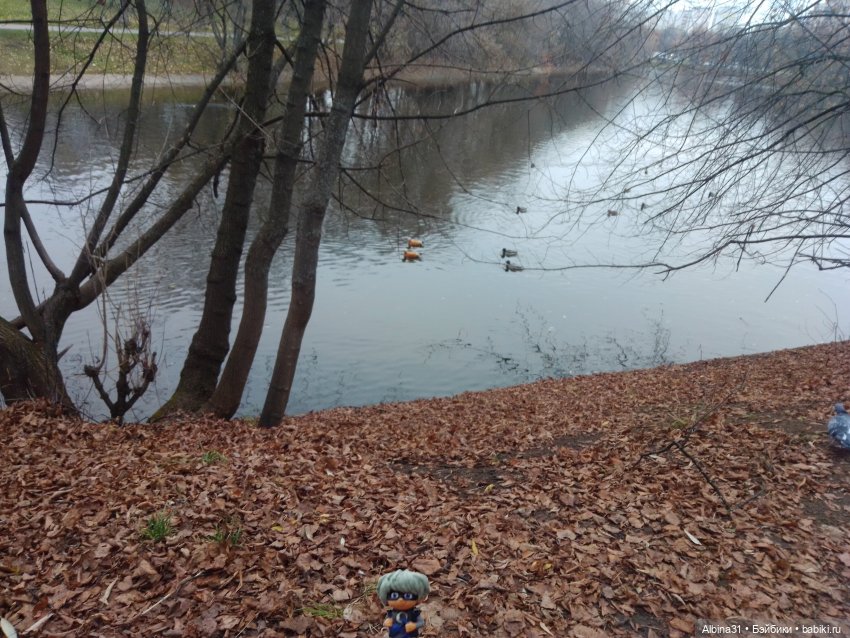 Прогулки по Москве. Измайлово. Ноябрь 2022