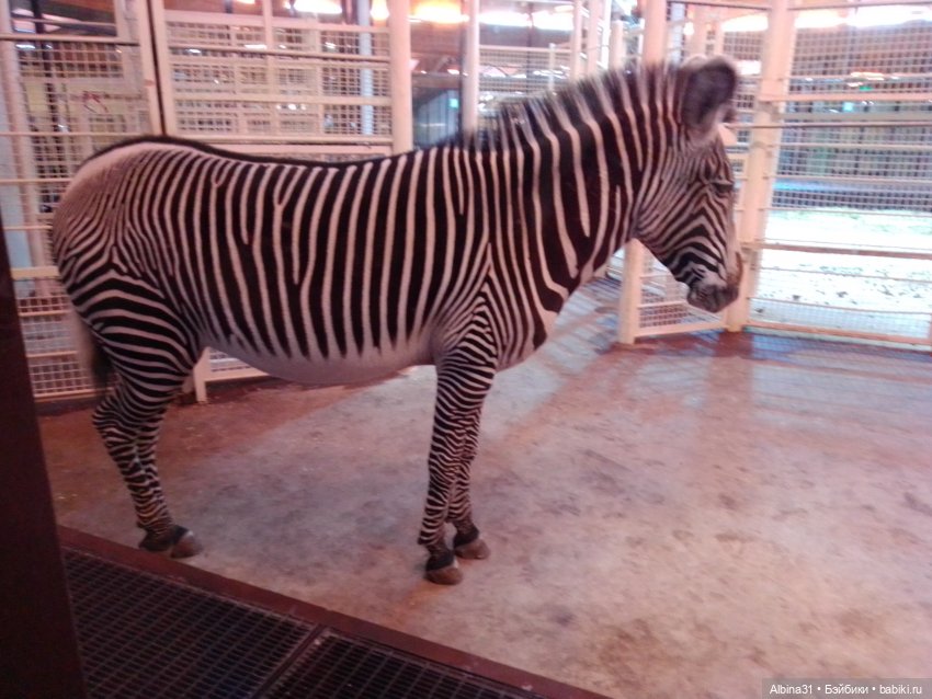 Прогулки по Москве. Ноябрь 2022