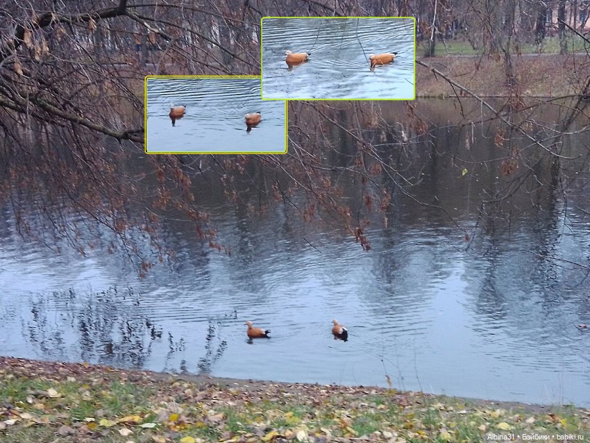 Прогулки по Москве. Измайлово. Ноябрь 2022