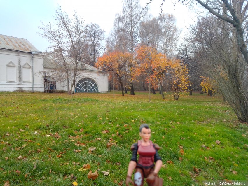 Прогулки по Москве. Измайлово. Ноябрь 2022