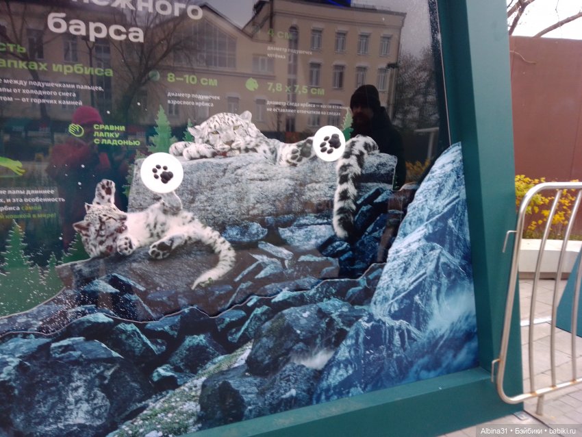 Прогулки по Москве. Ноябрь 2022