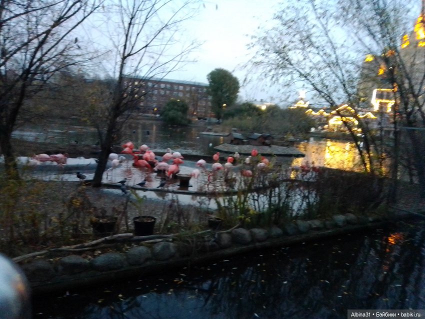 Прогулки по Москве. Ноябрь 2022