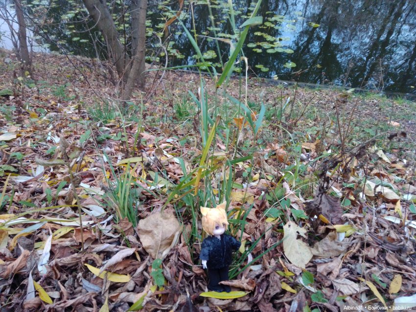 Прогулки по Москве. Измайлово. Ноябрь 2022 (фото 8)