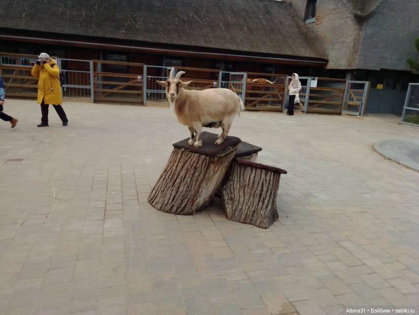 Прогулки по Москве. Ноябрь 2022