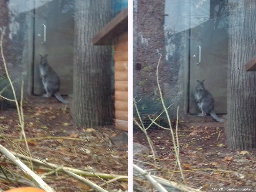 Прогулки по Москве. Ноябрь 2022