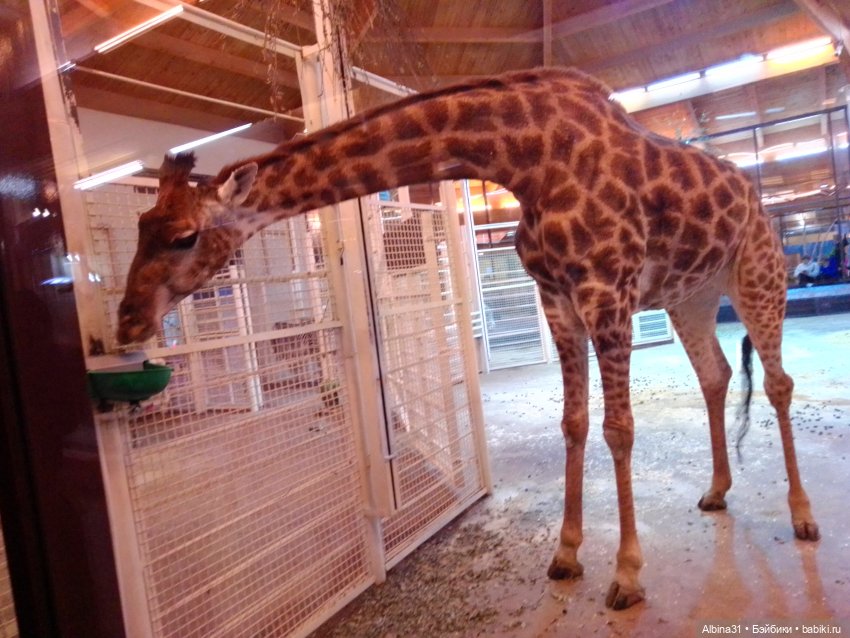 Прогулки по Москве. Ноябрь 2022