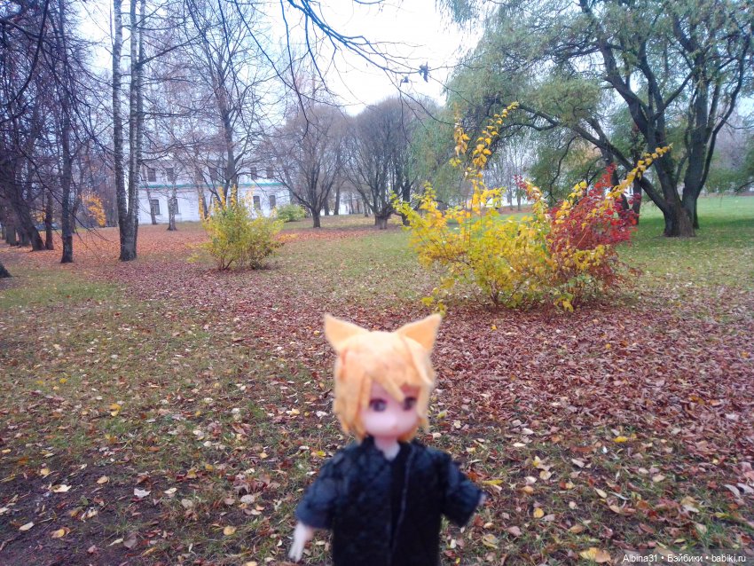 Прогулки по Москве. Измайлово. Ноябрь 2022