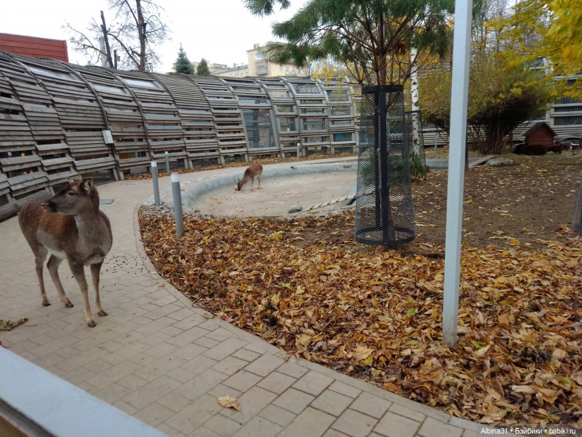 Прогулки по Москве. Ноябрь 2022