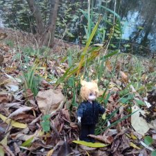 Прогулки по Москве. Измайлово. Ноябрь 2022