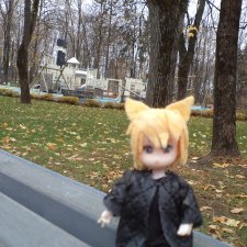 Без комментарий, Москва ноябрь 2022