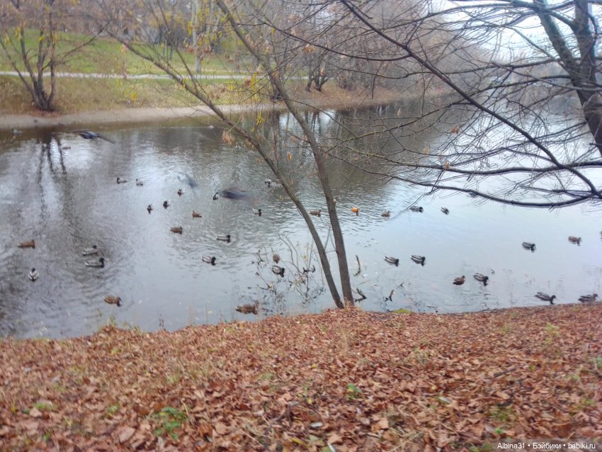 Прогулки по Москве. Измайлово. Ноябрь 2022