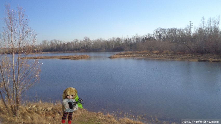 Городские осенние зарисовки. . 2022 год