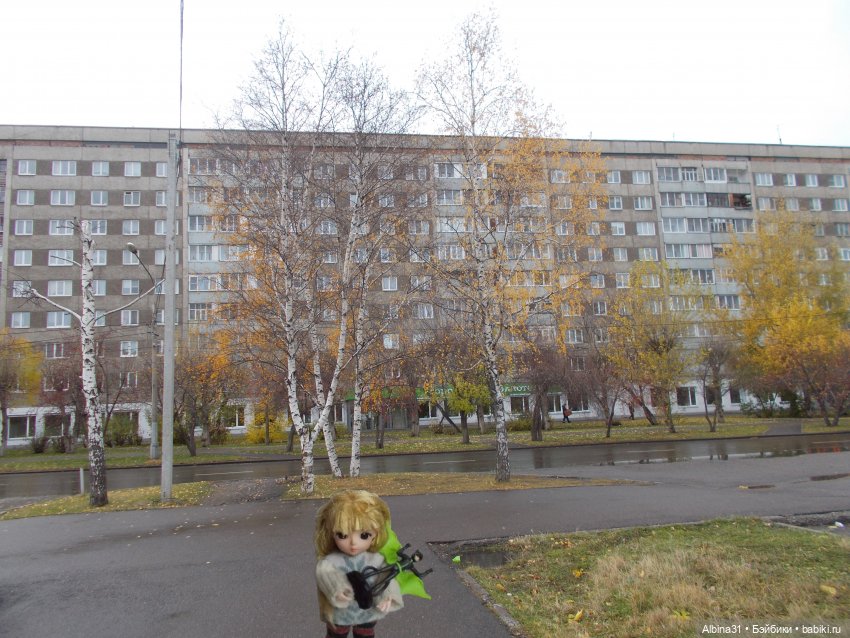 Городские осенние зарисовки. . 2022 год