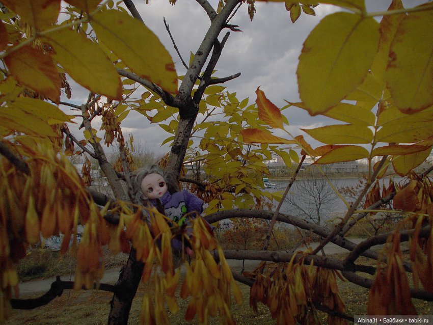 Городские осенние зарисовки. . 2022 год