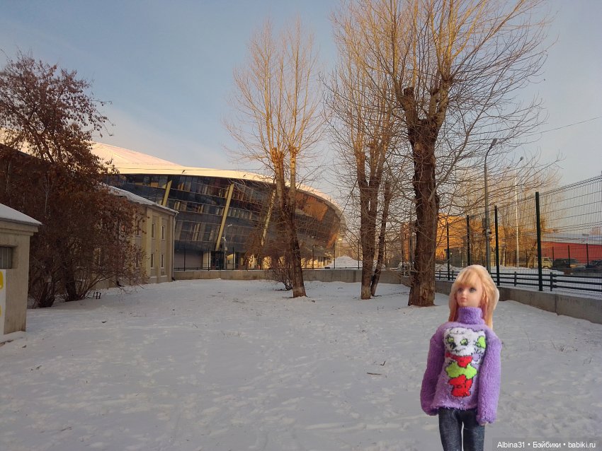 Зима, декабрь 2022 — Игровые куклы разных производителей (Разное): редкие бренды