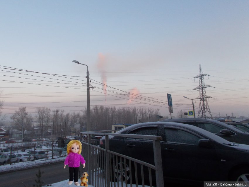 Февраль 2023 год — Игровые куклы разных производителей (Разное): редкие бренды